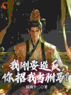我刚要造反,你招我当驸马?by皖南牛二免费阅读小说大结局-暗夜阅读网