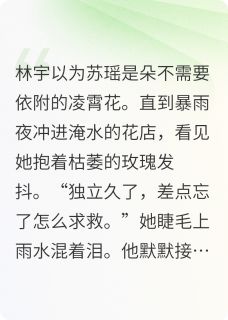 寻觅依靠的心灵林宇苏瑶-随心的小山山小说