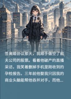 商战败北后，前夫大佬跪求我复婚（顾时砚苏晚晴）精彩小说目录阅读