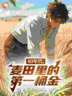 80年代：麦田里的第一桶金在哪免费看，江浩沈冰冰小说章节目录阅读