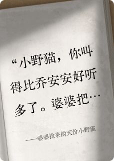 精品小说婆婆捡来的天价小野猫全文目录畅读