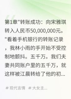 抖音爆款小说五千万转账后，我净身出户江晨宋雅琪免费txt全文阅读-暗夜阅读网