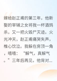抖音热推小说王妃假死遁逃后，王爷狂追妻全文在线阅读