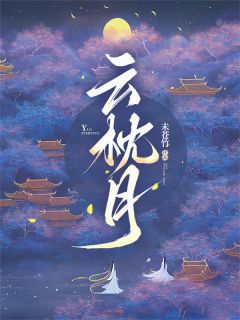云枕月在线阅读 云砚秋江昭南江国忠免费小说精彩章节