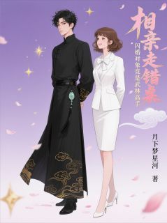 月下梦星河写的小说相亲走错桌，闪婚武林高手在线阅读-暗夜阅读网