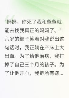 抖音爆款重生后我不再为继子流产小说免费阅读-暗夜阅读网