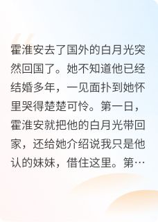 为了白月光和我离婚，你哭什么？by半只蟾蜍小说完结版在线阅读