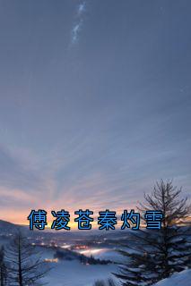 秦灼雪傅凌苍小说家小说全章节最新阅读