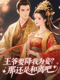 柳絮晚风的小说王爷要降我为妾？那还是和离吧全文阅读-暗夜阅读网