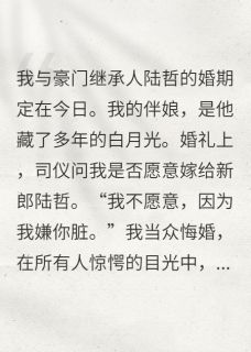 悔婚当天，我当众改嫁小说陆慎言陆哲白明钰最新章节阅读