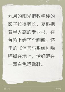 那年花开的正阳艳小说(完结版)-夏栀沈念舟在线阅读