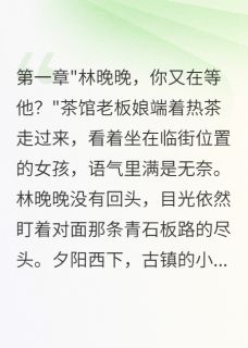 古镇里的那个人林晚晚江城免费全章节目录阅读-暗夜阅读网