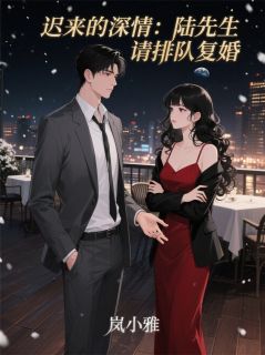 迟来的深情：陆先生，请排队复婚by岚小雅免费阅读小说大结局