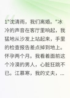 爆款小说离婚当天，我怀了他的孩子-主角江慕寒陈浩在线阅读-暗夜阅读网