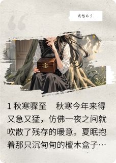 风停时，信已漫天精彩章节-风停时，信已漫天免费阅读全文