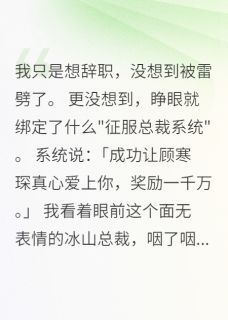绑定征服系统后冷面总裁跪求复合无弹窗在线阅读