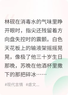 好书推荐烬余之下林砚苏晚秦峰全文在线阅读