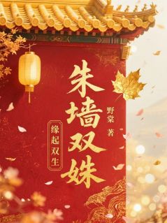 抖音朱墙双姝txt小说阅读