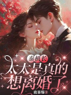 (热推新书)秦机长，太太是真的想离婚了黎软秦不舟无弹窗阅读