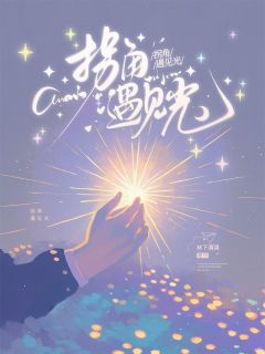 快手拐角遇见光小说全本章节大结局