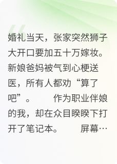 精彩小说首席伴娘林念念王丽张大海全章节在线阅读