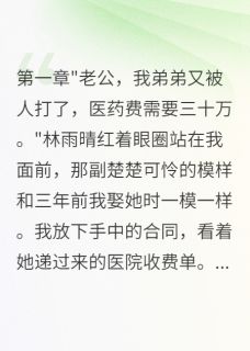 (抖音)妻子为小舅子抵押我公司要离婚 主角林雨晴苏欣