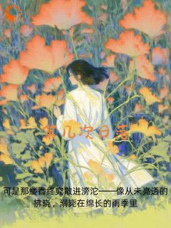 第几次日落免费小说作者初夏堂全文阅读