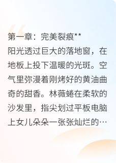 无弹窗小说我的老公与他另外一个家 作者苏苏不输