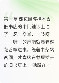主角是林夏陈屿的樟木味的约定抖音热门小说
