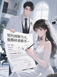 契约到期当天，他撕碎离婚书(沈聿白苏晚)最新章节