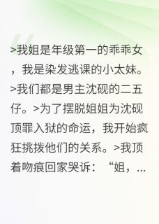 主角沈砚林琳小说，我姐是学霸，我是小太妹免费阅读全文