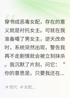 穿成女配改嫁小叔后，他哭瞎了小说全集(傅景深苏冉冉江淮)无弹窗广告阅读