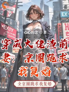 穿成大佬渣前妻：京圈跪求我复婚小说最新章节 苏晚陆聿深结局是什么-暗夜阅读网