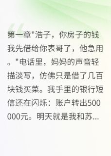 王磊浩子苏晴母亲给侄子五十万彩礼,我断亲完结版小说全文免费阅读-暗夜阅读网