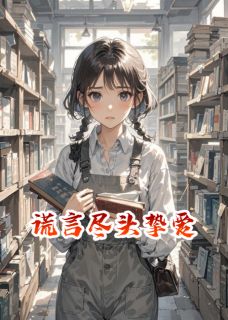 小说谎言尽头挚爱主角为季宴臣林昭昭免费阅读-暗夜阅读网