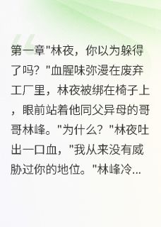 重生后我用五个马甲撩翻病娇大佬小说-重生后我用五个马甲撩翻病娇大佬抖音小说林夜秦墨-暗夜阅读网