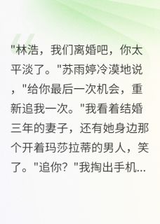抖音完结妻子嫌我穷要离婚,三年求我复婚苏雨婷林浩王磊(全文在线阅读)-暗夜阅读网
