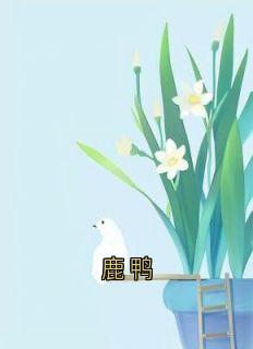 鹿鸭(神秘人)最佳创作小说全文在线阅读