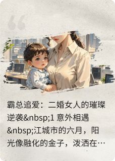霸总追爱：二婚女人的璀璨逆袭林晓陆景琛小宇小说完整在线阅读
