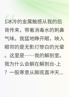 林晚星王诚爱吃永泰李干的沐苍涛小说全章节最新阅读-暗夜阅读网