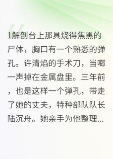 白骨军魂：法医前妻的复仇许清焰陆沉舟-小说未删减阅读