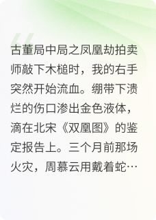 苏瑾周慕云是哪本小说主角 古董局中局之凤凰劫免费全章节阅读