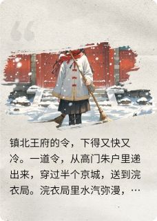 罪奴绝笔，王爷疯了小说-罪奴绝笔，王爷疯了抖音小说沈清鸾凌玄顾云峥