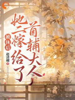 (精品)被休后，她二嫁给了首辅大人小说