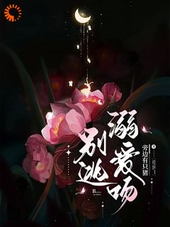 别逃，溺爱吻小说的书名是什么