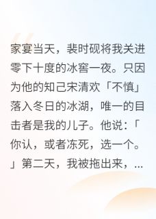她刻下观音眼尾的一道疤(裴时砚宋清欢裴念安)全文章节在线阅读-暗夜阅读网