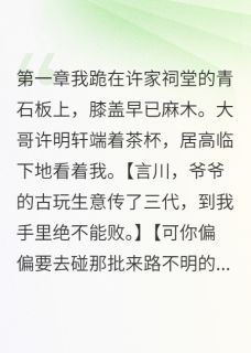 好文热推小说她嫁给我哥那天我破产了主角许明轩宋雅茹许言川全文在线阅读-暗夜阅读网