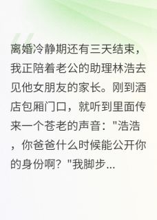 抖音小说翻译官老公瞒着我认儿子三年，主角林浩宋墨言小雨最后结局小说全文免费