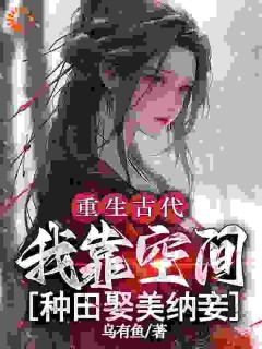 抖音沈其沈老实小说叫什么名字