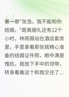 良心推荐女友拒见家长我换人结婚小说试读